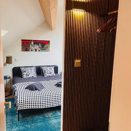 Ancien Cinema Loft شقة فيانْدْنْ