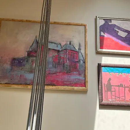 아파트 Ancien Cinema Loft 비안덴