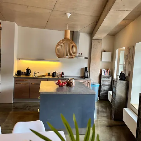 شقة Ancien Cinema Loft فيانْدْنْ