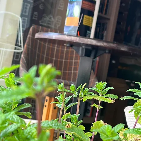 Ancien Cinema Loft * فيانْدْنْ