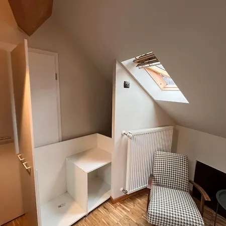 شقة Ancien Cinema Loft فيانْدْنْ
