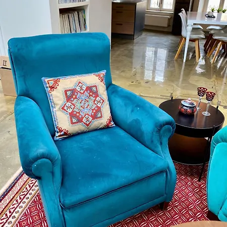 Ancien Cinema Loft شقة فيانْدْنْ