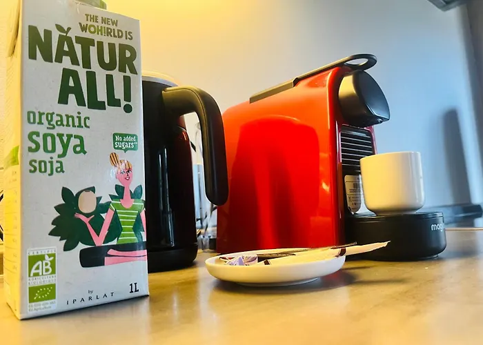 Ancien Cinema Loft Appartement *