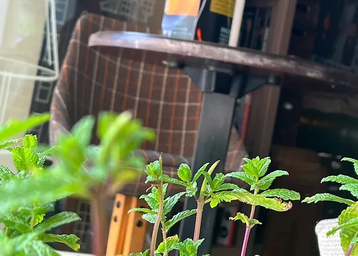 Ancien Cinema Loft * Vianden