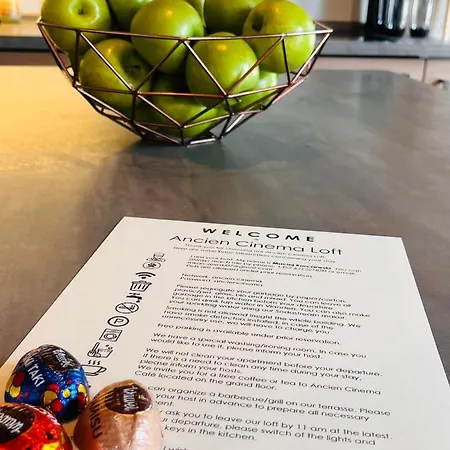 Ancien Cinema Loft Apartment Vianden