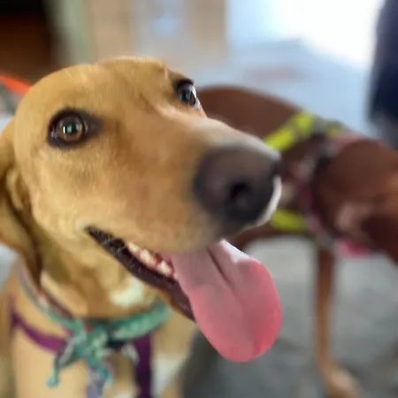 Apartment Ancien Cinema Loft