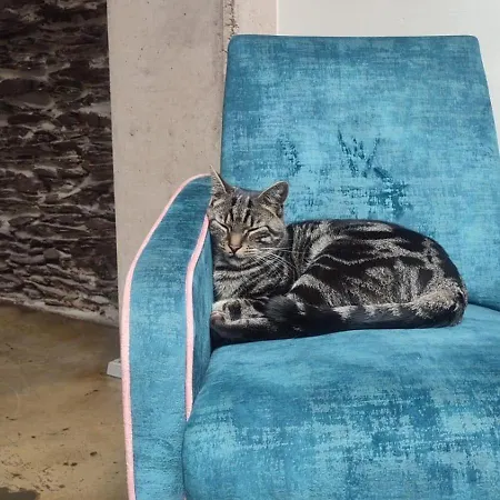 Ancien Cinema Loft Appartement Vianden