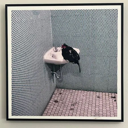 Appartement Ancien Cinema Loft *