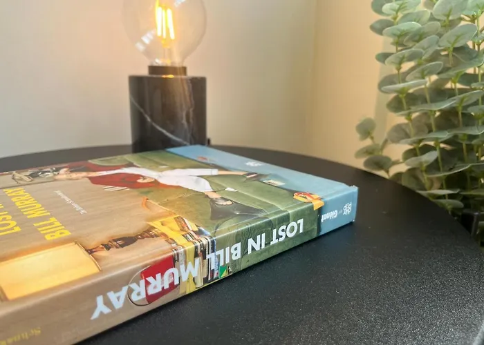 Ancien Cinema Loft *