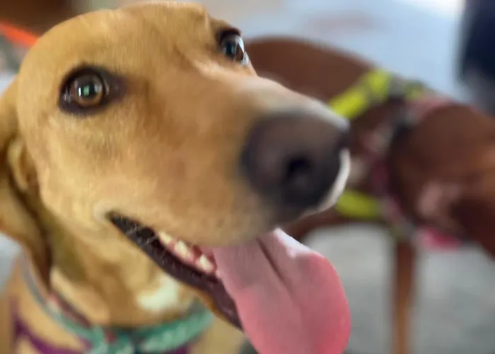 Apartamento Ancien Cinema Loft