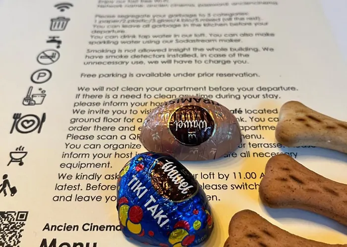 Ancien Cinema Loft Apartamento *