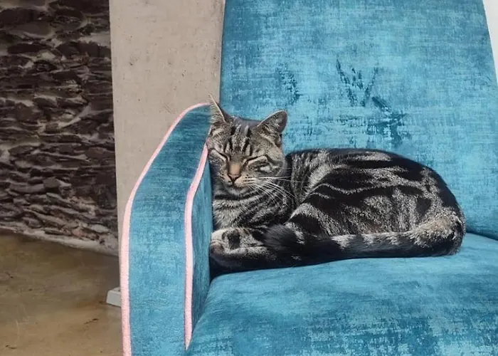 Ancien Cinema Loft Apartamento Vianden