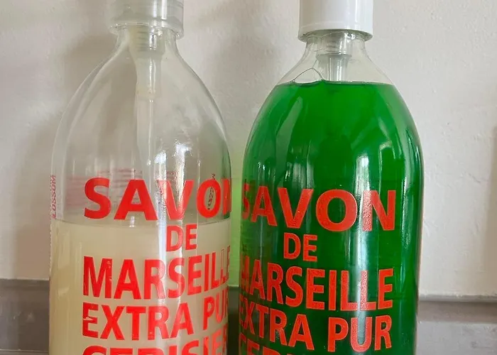 Ancien Cinema Loft *