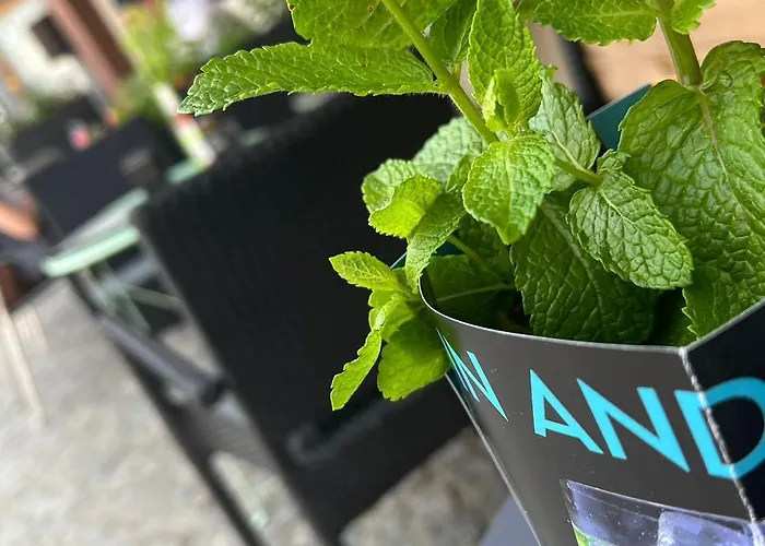 Ancien Cinema Loft Daire